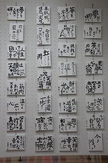 s-20260121 (11).jpg