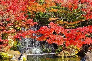 PTA社会見学会に参加しました🍂