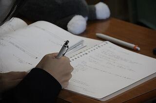 s-20251119 (40).jpg