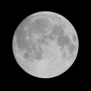 中秋の名月🌕
