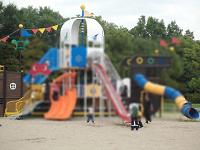 CIMG8914.JPG