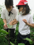 写真4.png