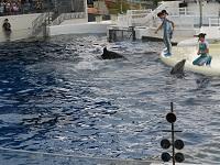 H29.10.12 中2校外学習8.JPG