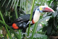 IMG_0273.JPG