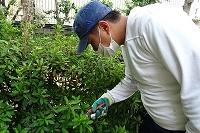 コースブログ(府庁実習)②.jpg