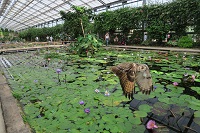 IMG_0318.JPG