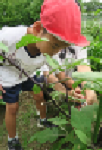 写真3.png