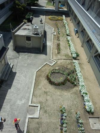 圧縮 中庭DSC_2443.jpg