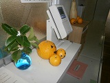 ikebana.JPG