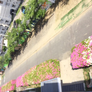 づづじ image1.JPG