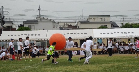 圧縮 DSC02695.jpg