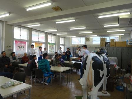 圧縮 牛 DSC02776.jpg
