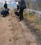 生活園芸.JPG
