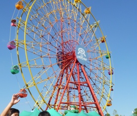 P1000160.JPG
