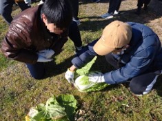 高2農福④
