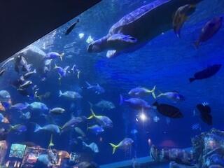 高３修学旅行（三重方面）のご報告