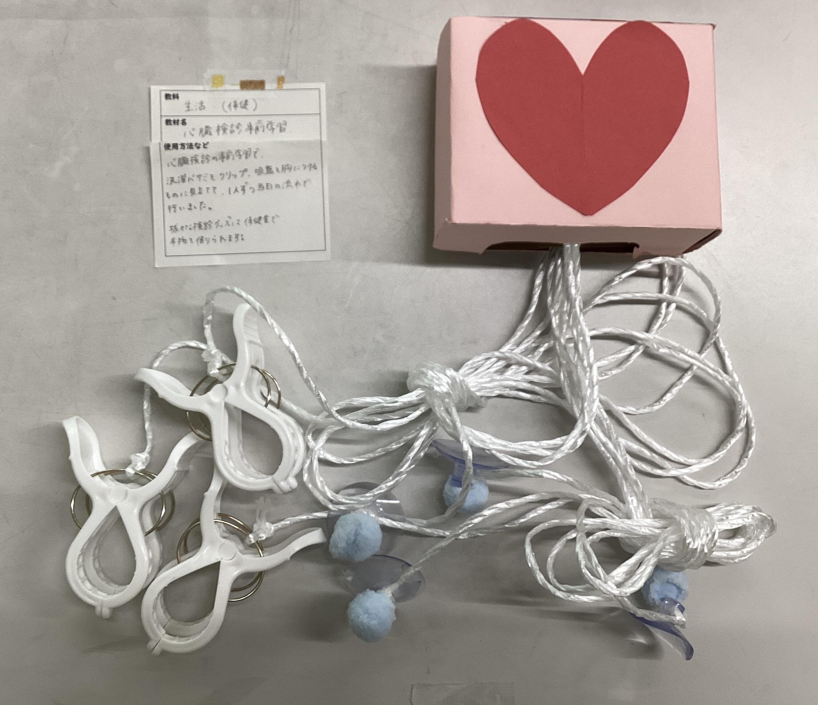 心臓検診.jpg
