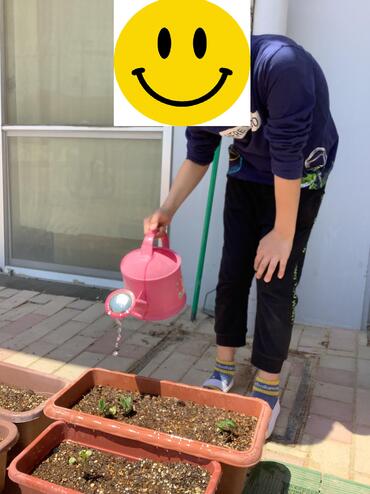 枝豆の観察1.jpg