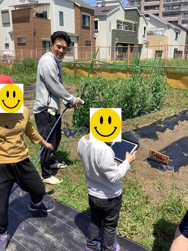 大根の観察1.jpg