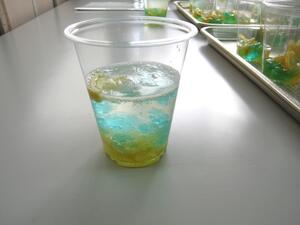 IMG_1856.JPG