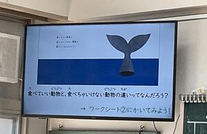 IMG_9514.JPG