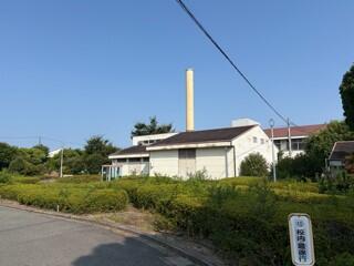 【風景】正門からの桜の木