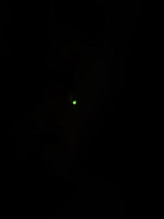 IMG_1489.jpeg