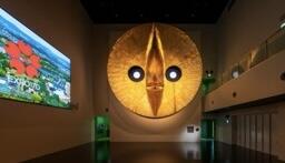 IMG_1721.jpeg