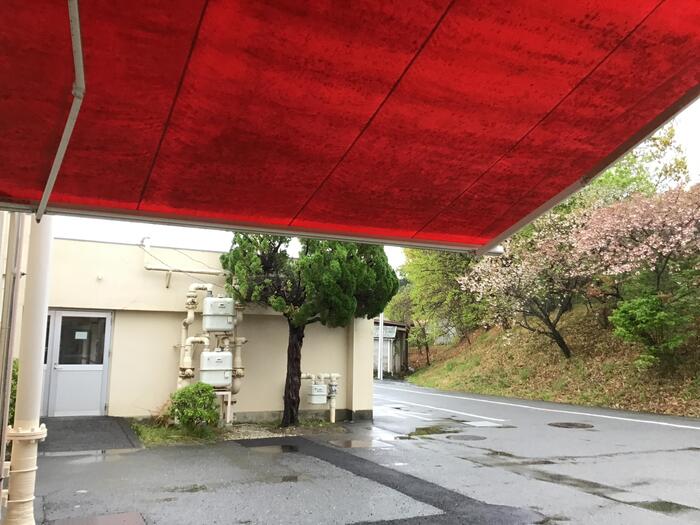 朝からの雨。