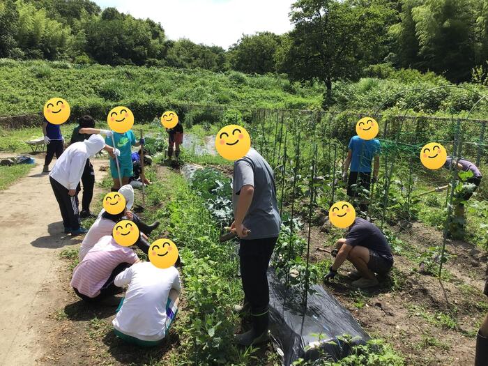 草引き。みんなで協力。