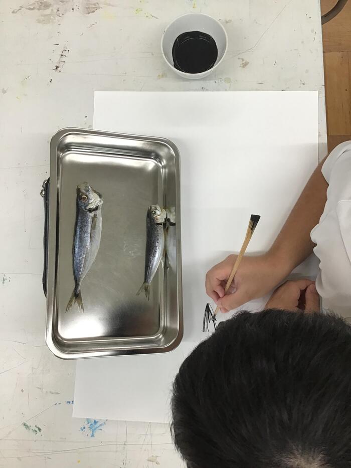 本物の教材のチカラ。