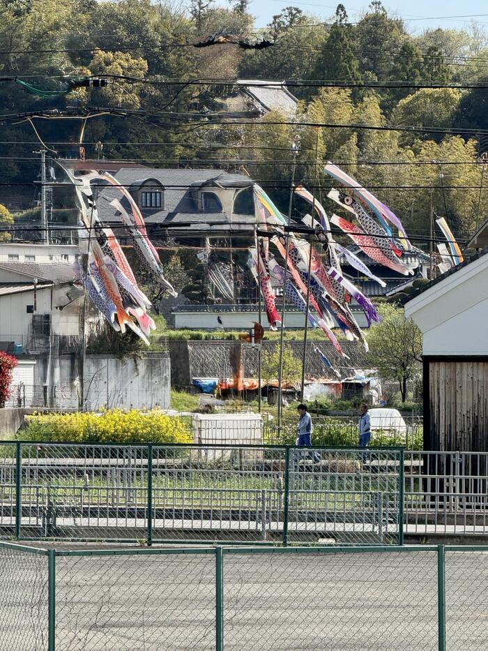 新年度がいよいよスタートしました。