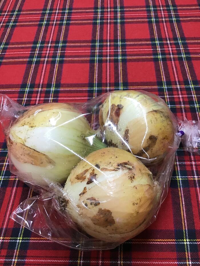 茨木支援収穫シリーズ