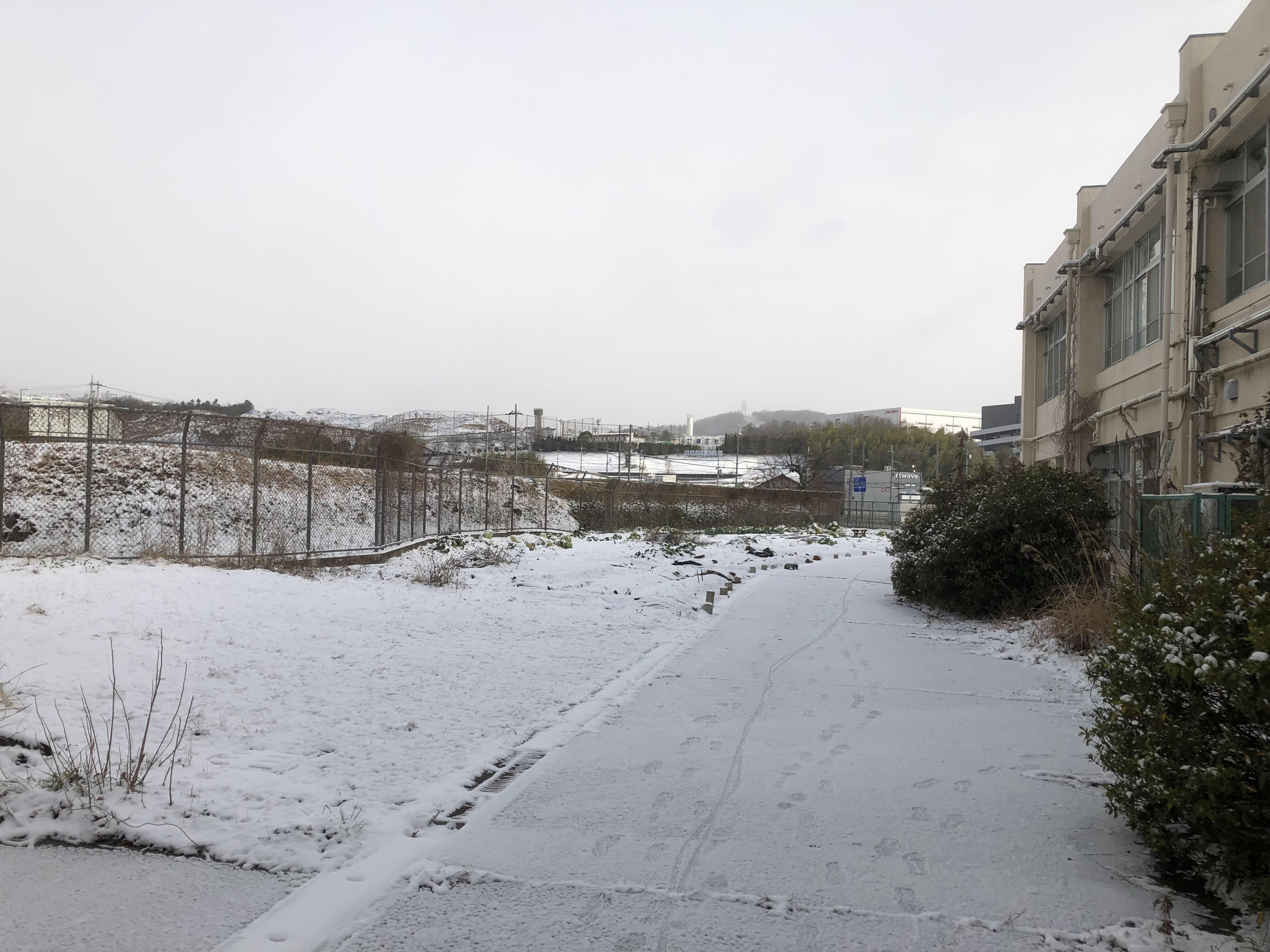 校舎裏の畑 雪の積もった写真