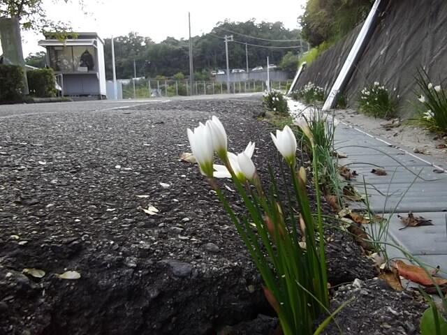 「安心」への第一歩、はじめます。