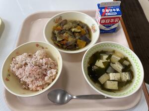 IMG_6325.jpeg