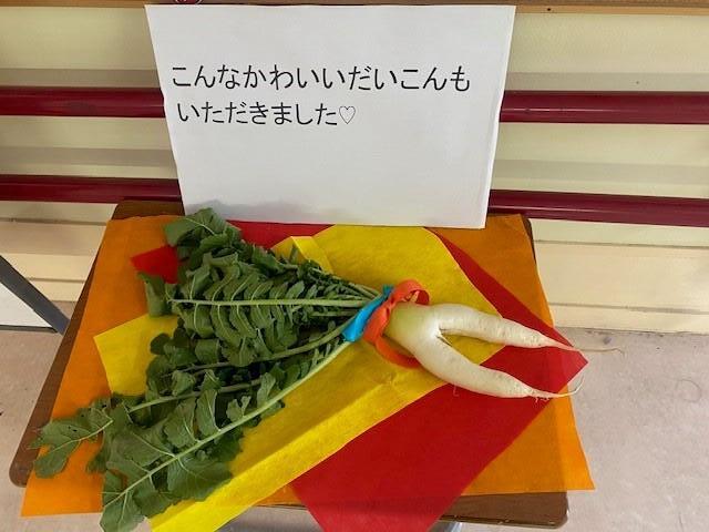 🍴小学部の大根がついに給食に!