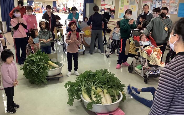 小学部の畑の大根が給食になりました！