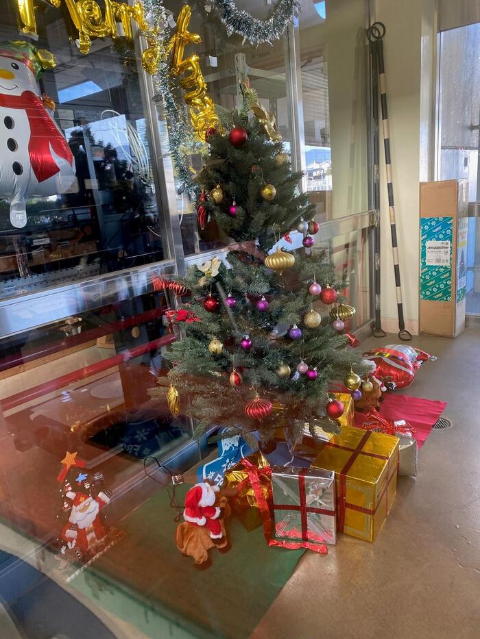 クリスマスの温もり ― 新しいツリーとPTAの皆さまに感謝