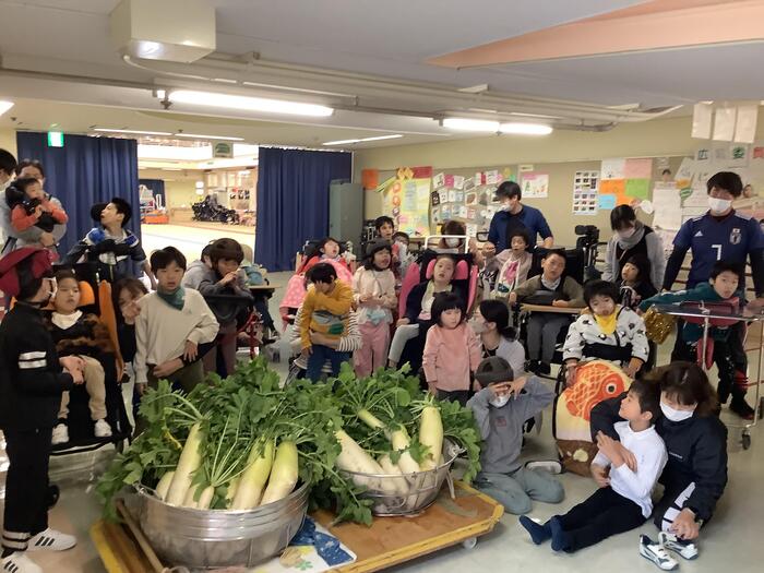 小学部畑の収穫（給食室に大根納品）