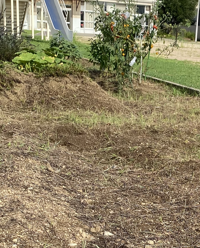 畑の除草作業