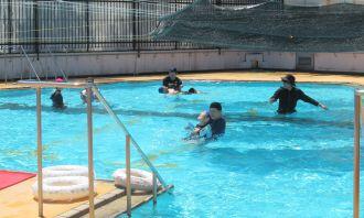 IMG_0477[1].JPG