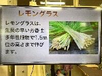 103.jpg