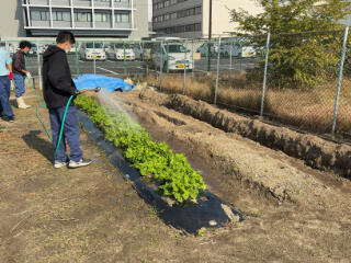 IMG_7184.JPG