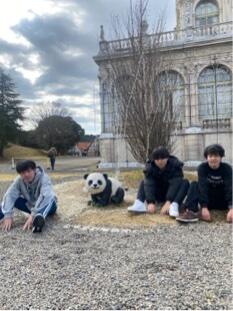 IMG_9668.jpeg
