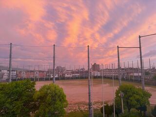 IMG_1038-1.jpg