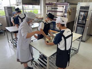 IMG_1531.jpeg