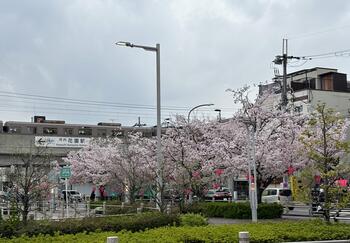 IMG_0593.jpeg
