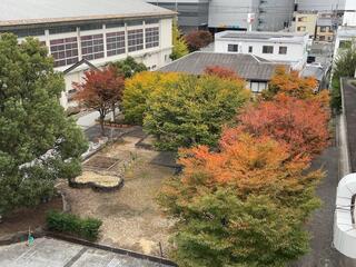 11/15(金)学校見学会(第2日)