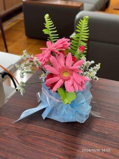 IMG_8054.JPG